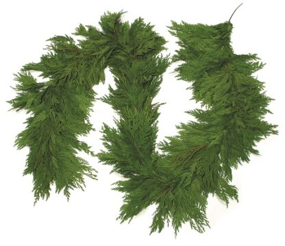 15' Western Red Cedar Garland