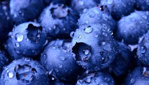 Blueberries